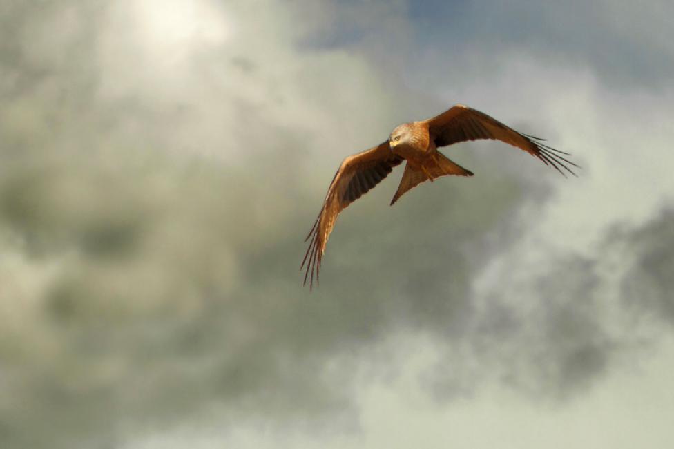 Preludio de tormenta